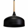 Lampa wisząca TAYLOR 1xE27 60W czarny